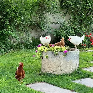 Alloggio per agriturismo Terre Di Senia, Chiaramonte Gulfi